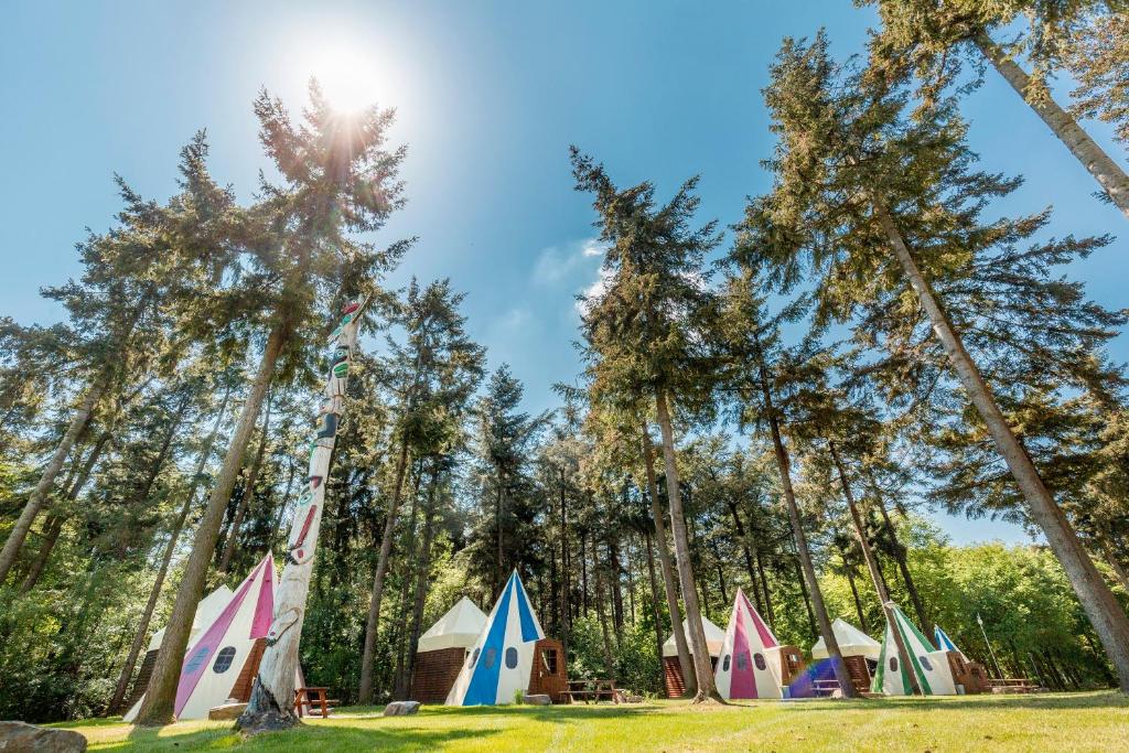 WanroijVakantiepark de Bergen的一群在树丛中的帐篷