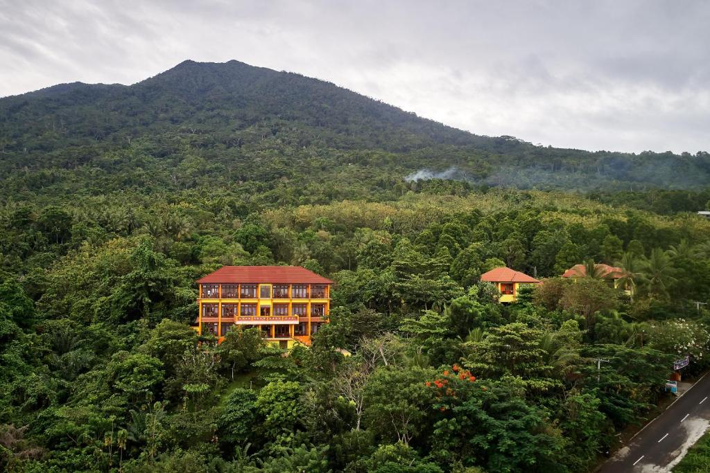 特尔纳特岛马雷塞别墅酒店的山中森林中的一座建筑