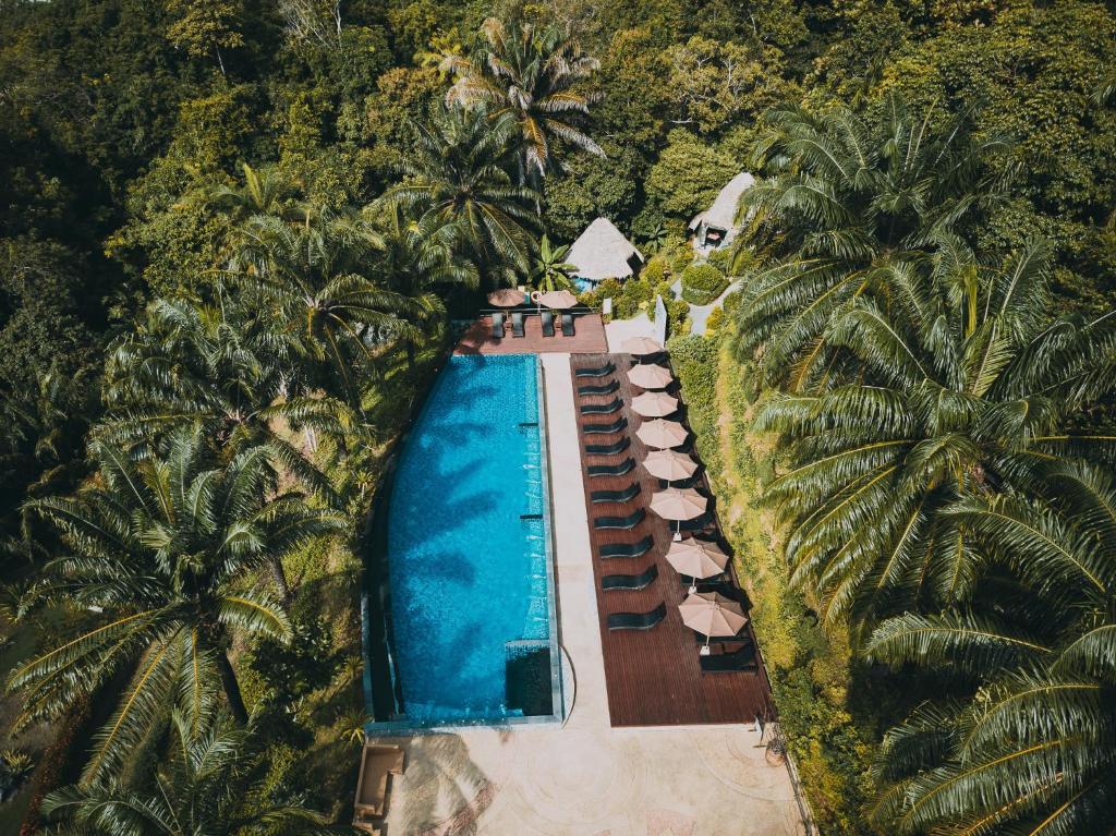 奥南海滩Aonang Fiore Resort - SHA Extra Plus的享有棕榈树游泳池的顶部景致