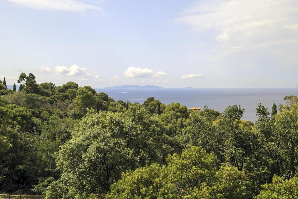 勒·雷约尔·卡纳德尔·苏尔L'Escapade的从树木茂密的山丘上欣赏海景
