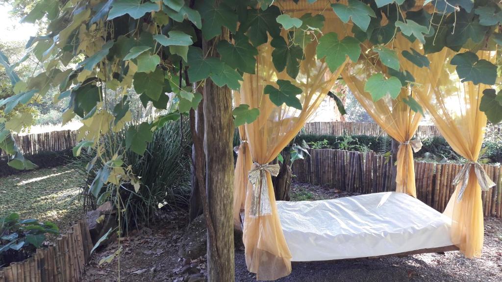 新彼得罗波利斯斯帕科霍利斯提克小屋酒店的挂在花园中树上的床