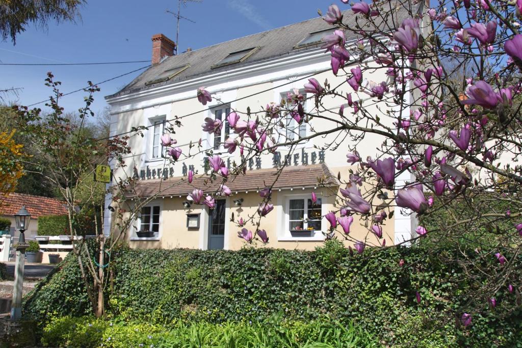 露舍普林内罗切斯港酒店的白房子前面的玉兰树