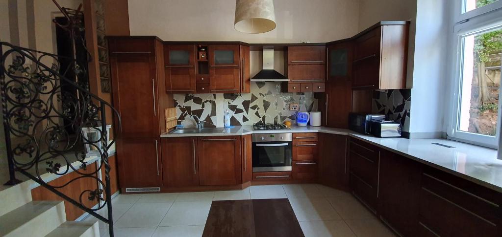 库多瓦-兹德鲁伊APARTAMENT ADA的一个带木制橱柜和窗户的大厨房