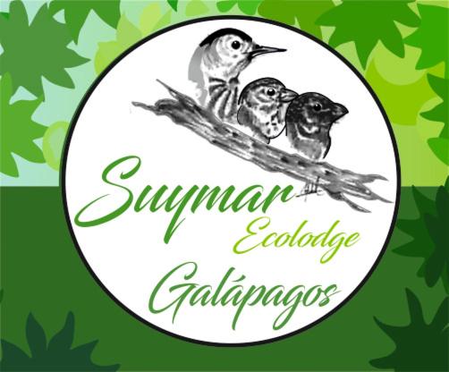 阿约拉港Suymar Ecolodge Galapagos的两只鸟坐在白板上的枝子上