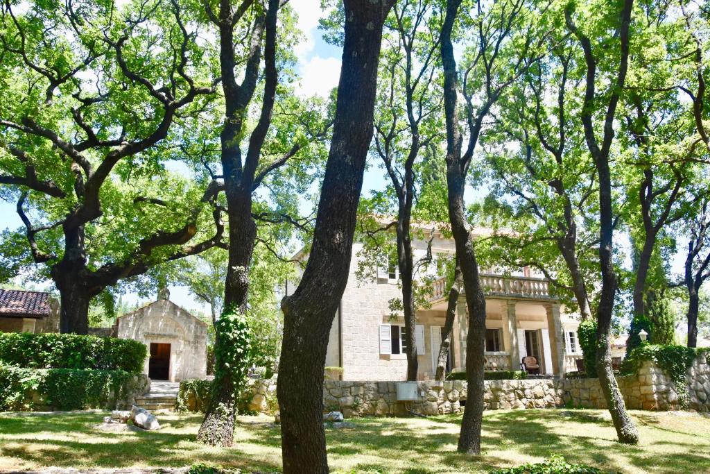 西利皮Villa Tereza的前面有树木的房子