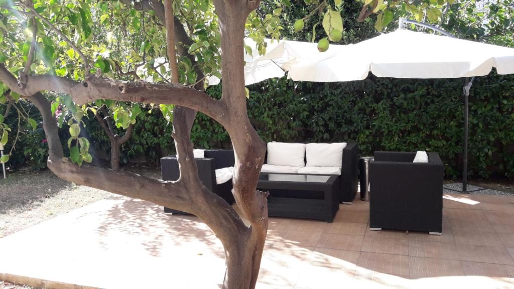 巴里戴马尔住宿加早餐旅馆的长沙发和雨伞的树