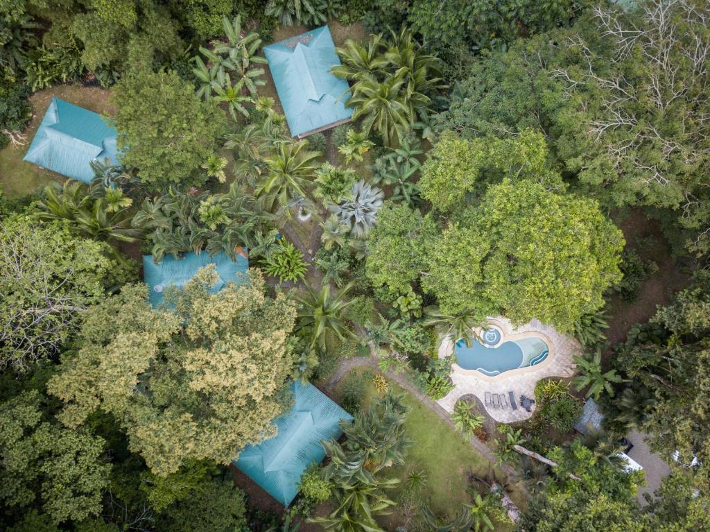 别霍港El Nido Jungle Lodge的森林中度假胜地的顶部景观