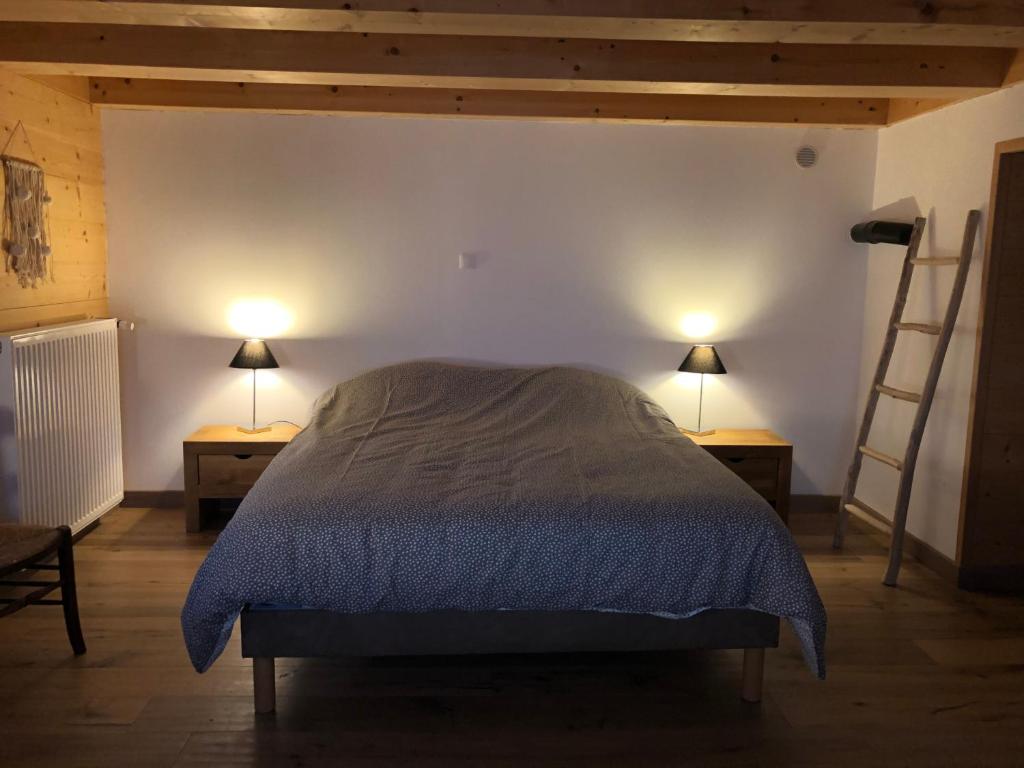 于日讷Chalet du bois des Fugiers的一间卧室配有一张带两盏灯和梯子的床。