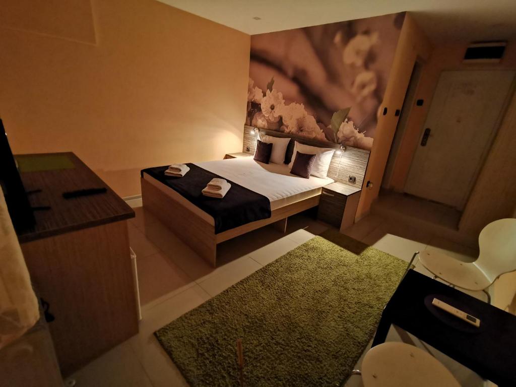 尼什Niš City Center Guest House的一间酒店客房 - 带一张床和一间浴室