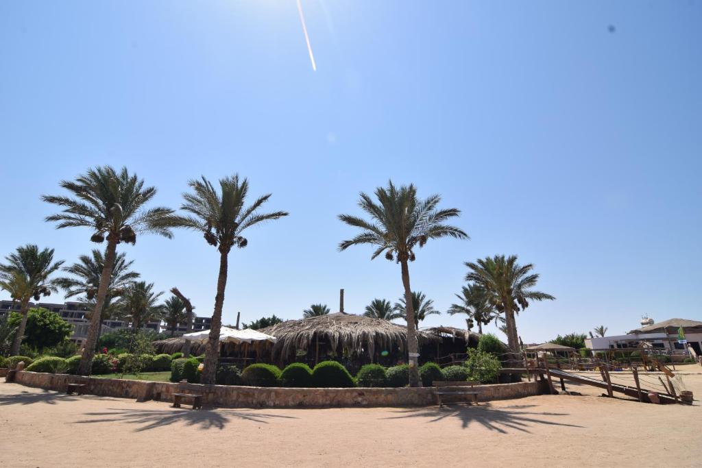 赫尔格达Sharm El Naga Resort and Diving Center的棕榈树和海滩,有一座建筑