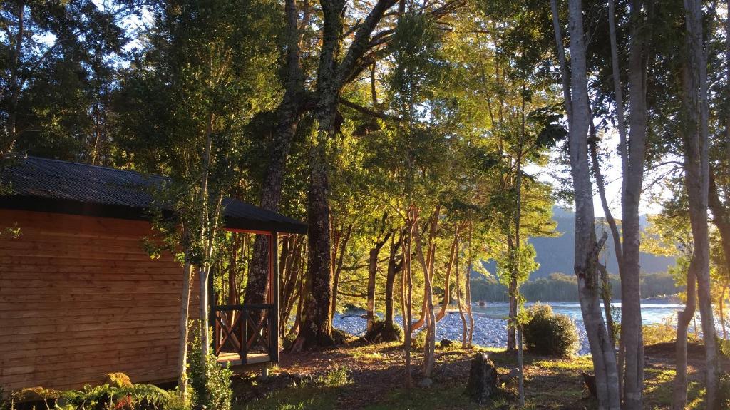 柴滕Cabañas Parque Michimahuida的树林中的小屋,享有水景