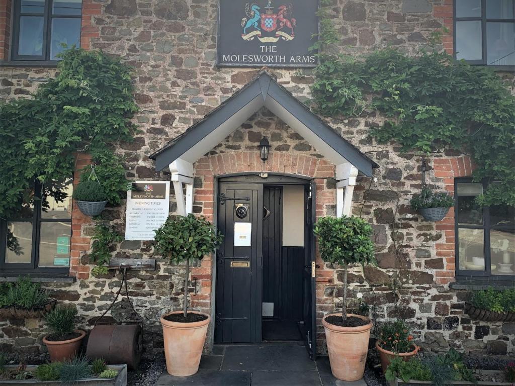 霍尔斯沃西Molesworth Arms Pyworthy的砖房前门,砖房有盆栽植物