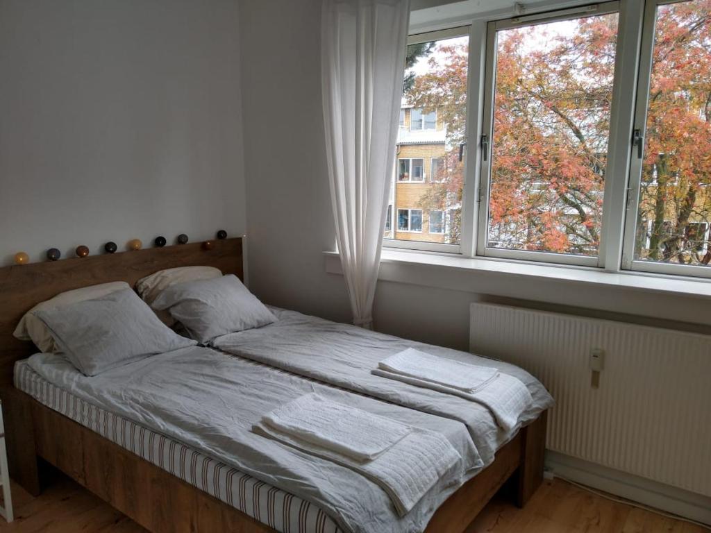 Cozy room Hvidovre客房内的一张或多张床位