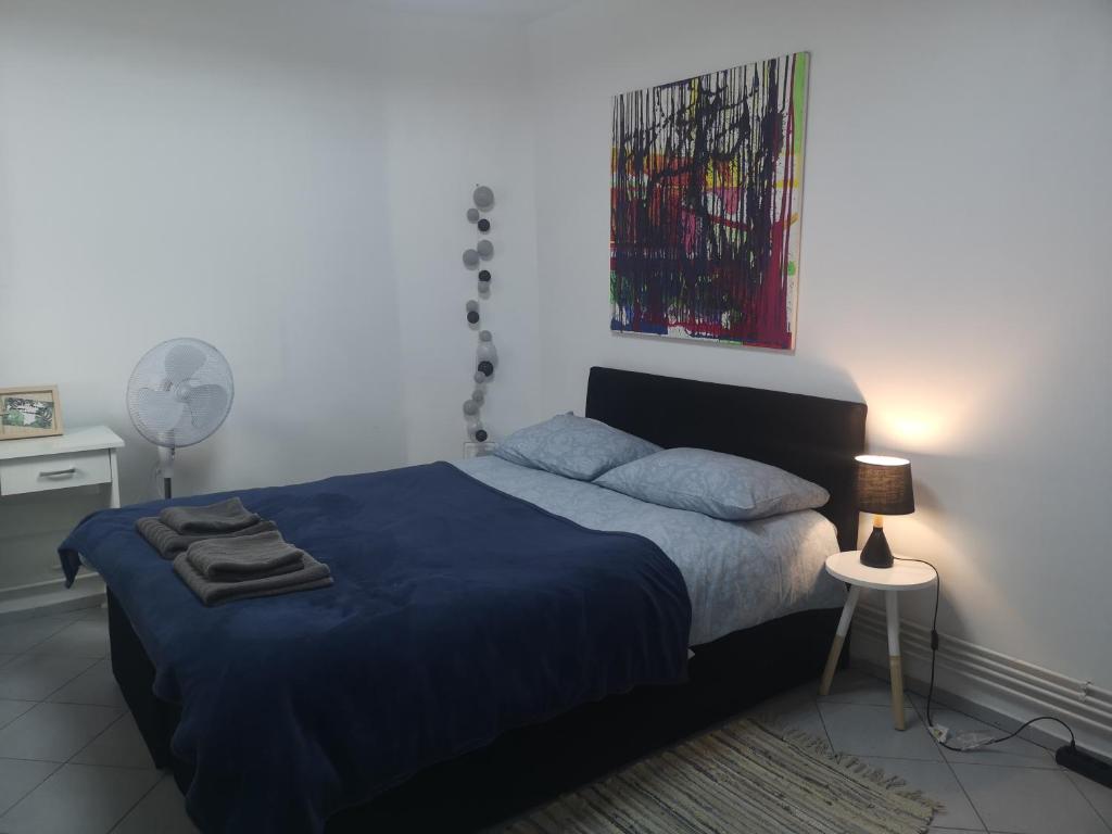 蒂米什瓦拉Casa Miron Unirii 3Strada Matei Corvin Apartament的一间卧室配有一张带蓝色棉被的床