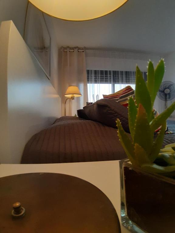 马达巴The Place的一间卧室配有一张床和一张植物桌子