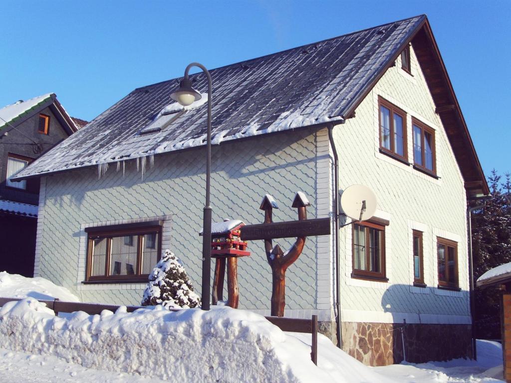 伦斯泰格地区施米德费尔德福丽恩农彼得恩格尔哈特公寓的雪中有一根轻极的房子