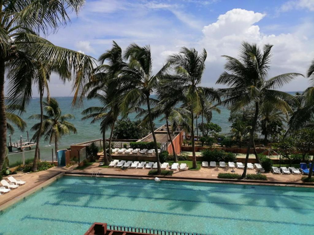 达喀尔达喀尔翡翠花园酒店的棕榈树和大海的游泳池