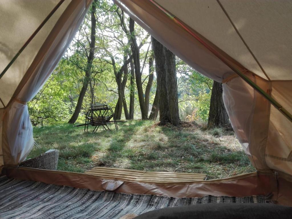 贝尔帕索Rifugio Manfre Bivouac Tent的从树林里的帐篷内欣赏美景