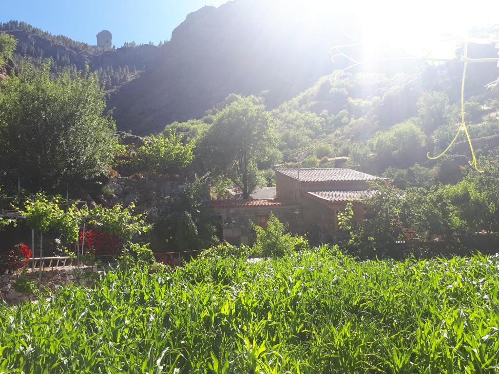 克鲁兹·德·特赫达Casita el Parral的山上的房子,阳光灿烂