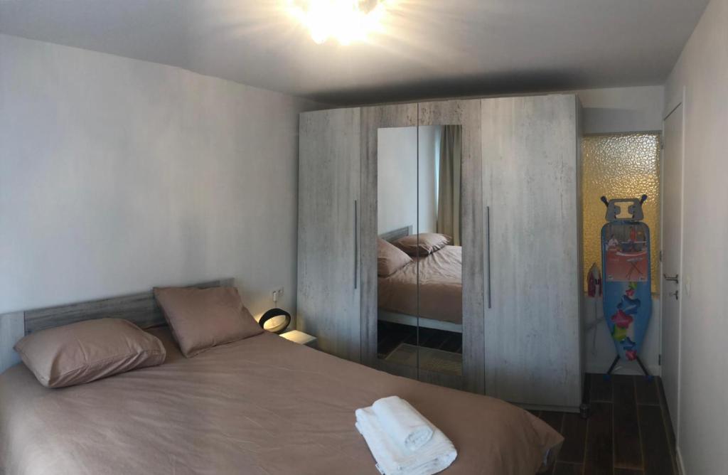 安特卫普Konac的一间卧室配有一张大床和镜子