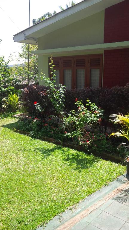 康提杰瓦曼娜民宿的一座种植了鲜花和植物的绿色庭院