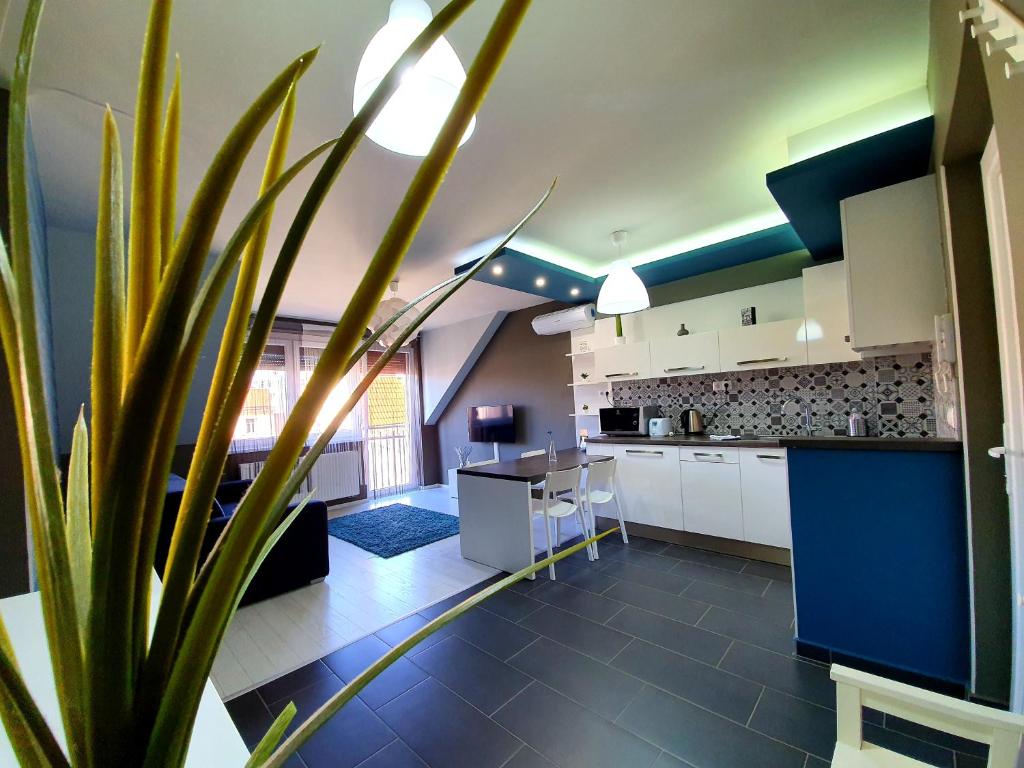 萨尔瓦尔INTRO Apartman的厨房配有白色橱柜和盆栽植物