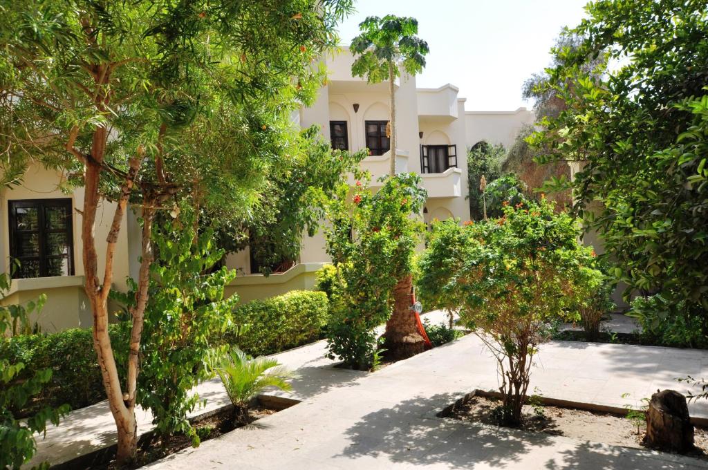 卢克索El Nakhil Hotel的一座树木繁茂的建筑前的庭院