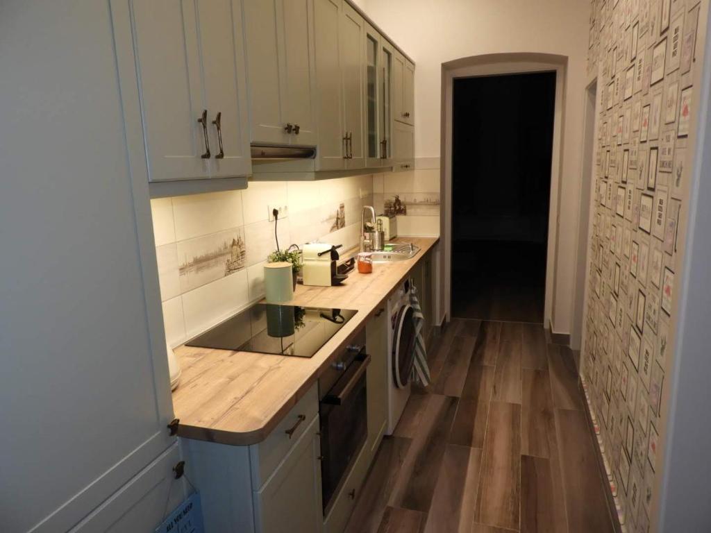 布达佩斯Gizella apartman的厨房配有水槽和台面