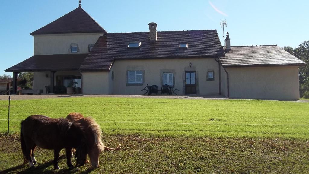 勒菲耶都科隆比耶度假屋的牧场上的马在房子前面放牧