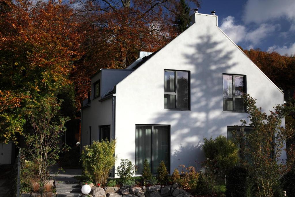 奥斯赛拜-塞林Ferienhaus Sonnensteg 23的白色的房子,有黑窗和树木