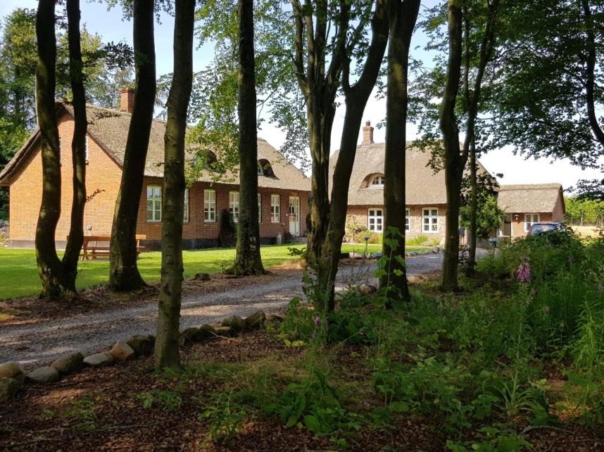 霍尔斯特布罗Agerfeld gl. skole的前面有大量树木的房子