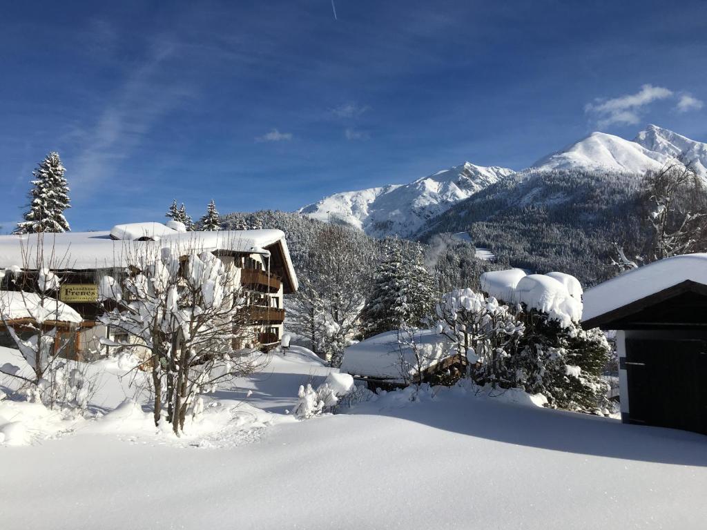 蒂罗尔-泽费尔德Landhaus Frenes Apartments的山地雪覆盖的房子