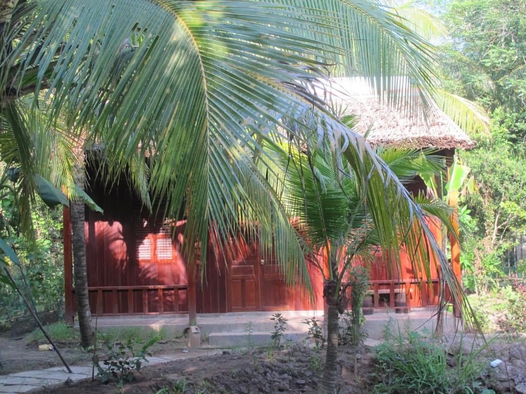 槟知Homestay Xóm Dừa Nước的前面有棕榈树的房子