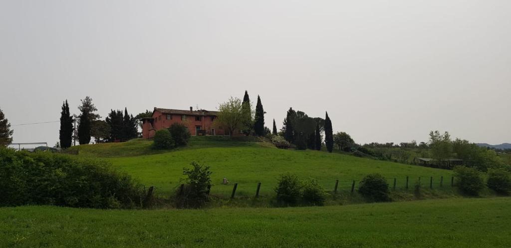 斯波莱托Colle Cornetto的绿色山顶上的房子