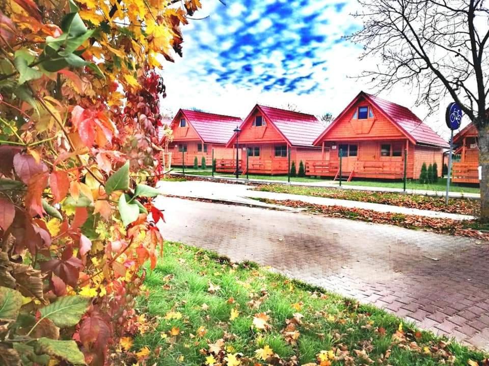 比斯库佩茨Dadaj Summer Camp - całoroczne domki Rukławki的街上一排有红色屋顶的房屋