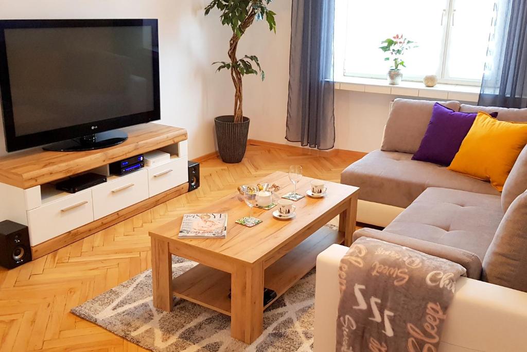琴斯托霍瓦Apartament Nowowiejskiego的客厅配有电视和茶几