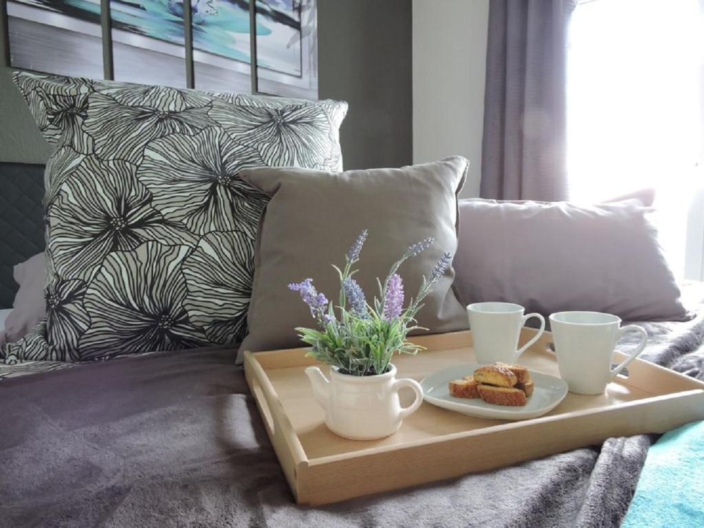温特贝格Appartement - Haus Winterberg的沙发上装有两杯和一盘食物的托盘