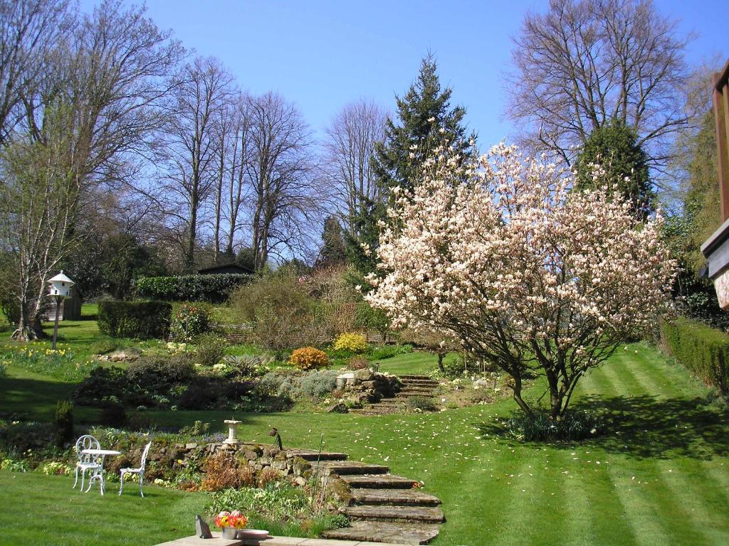 多尔金Chart House Bed and Breakfast的花园设有楼梯,树上种满了鲜花