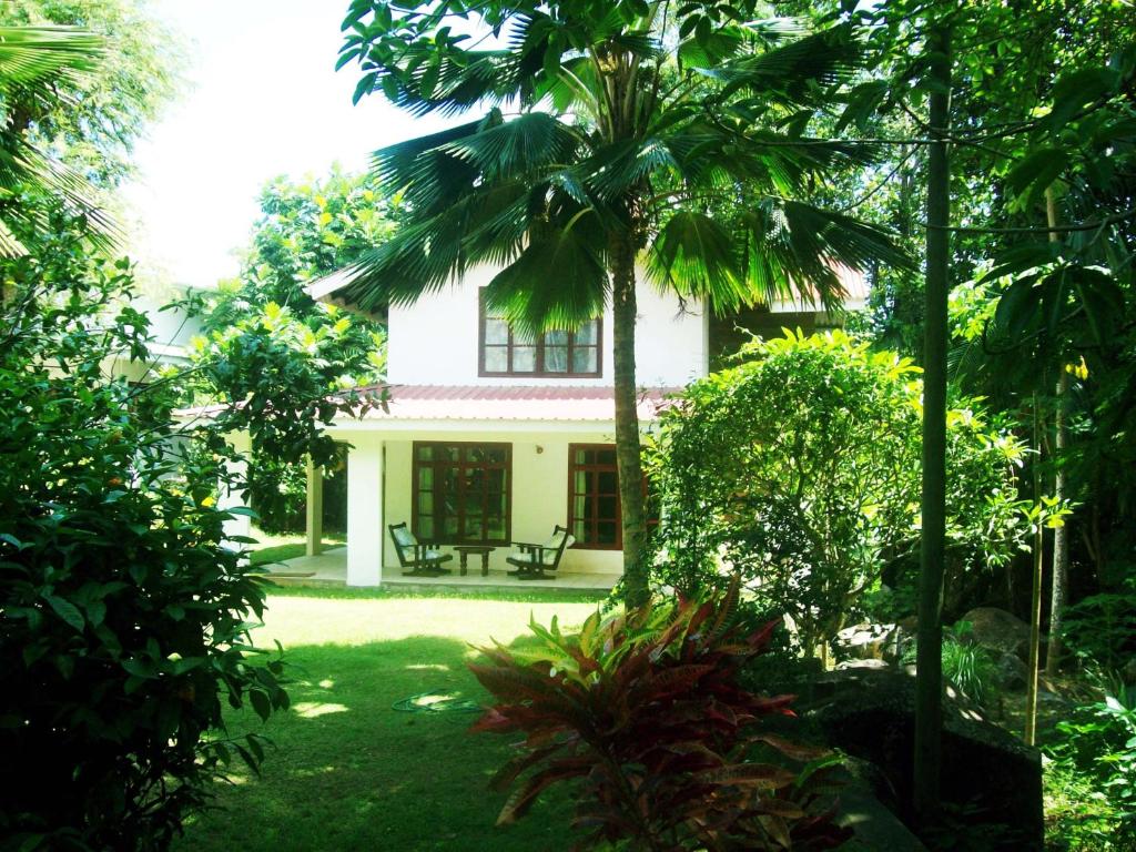 马埃岛贝拉扎尔区拉罗卡尔酒店的前面有棕榈树的白色房子