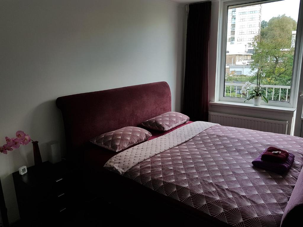 阿姆斯特丹阳光旅馆的一间卧室配有带两个枕头的床和窗户