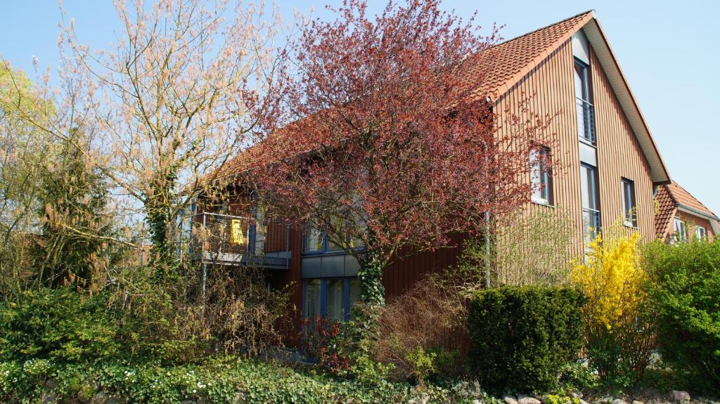 吕讷堡Gästehaus/FeWos/Boardinghaus Lüneburg Süd的前面有红树的房子