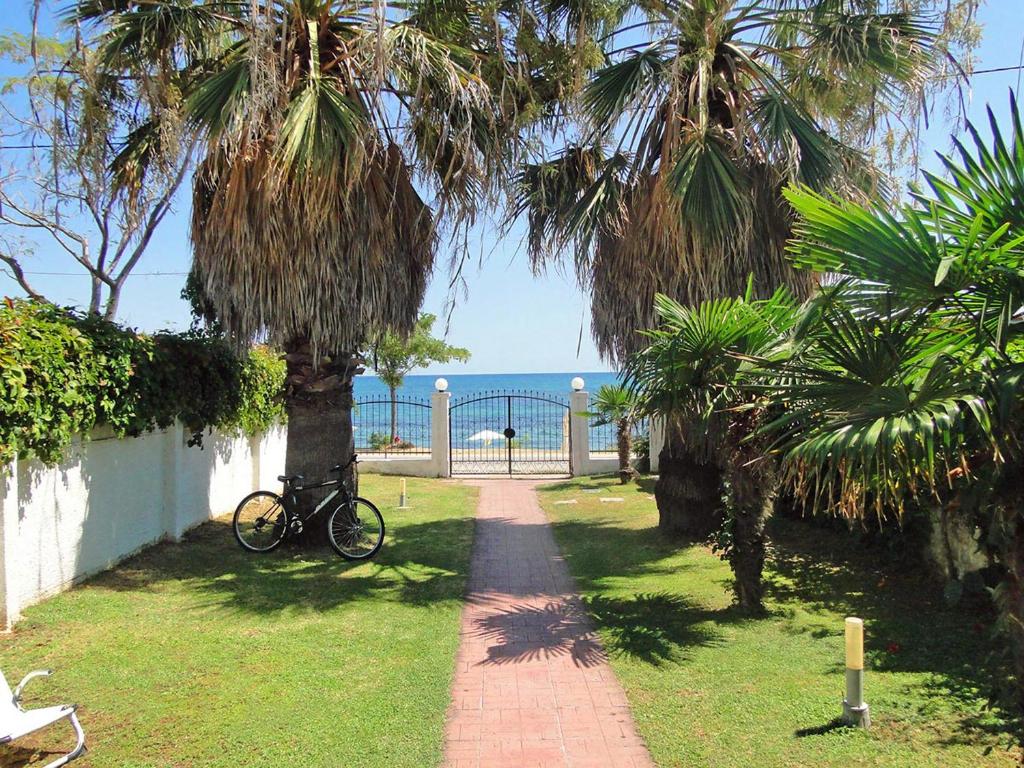 ÁvdhiraAvdira Seaside House的停在两棵棕榈树下的人行道旁的自行车