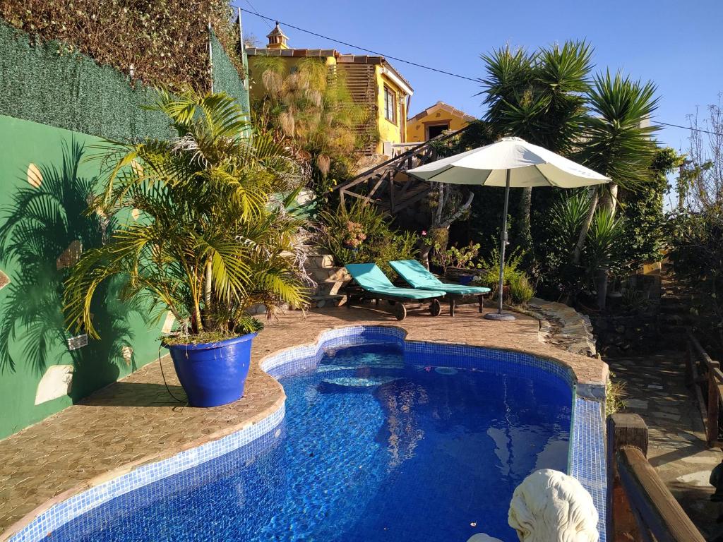 蒂哈拉费Casa Tata的一个带棕榈树和遮阳伞的游泳池