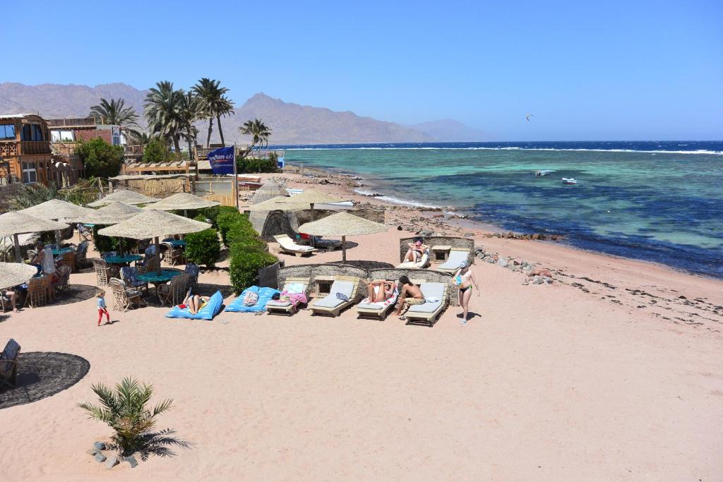 达哈布Eldorado Lodge and Restaurant的海滩上设有椅子和遮阳伞,还有大海