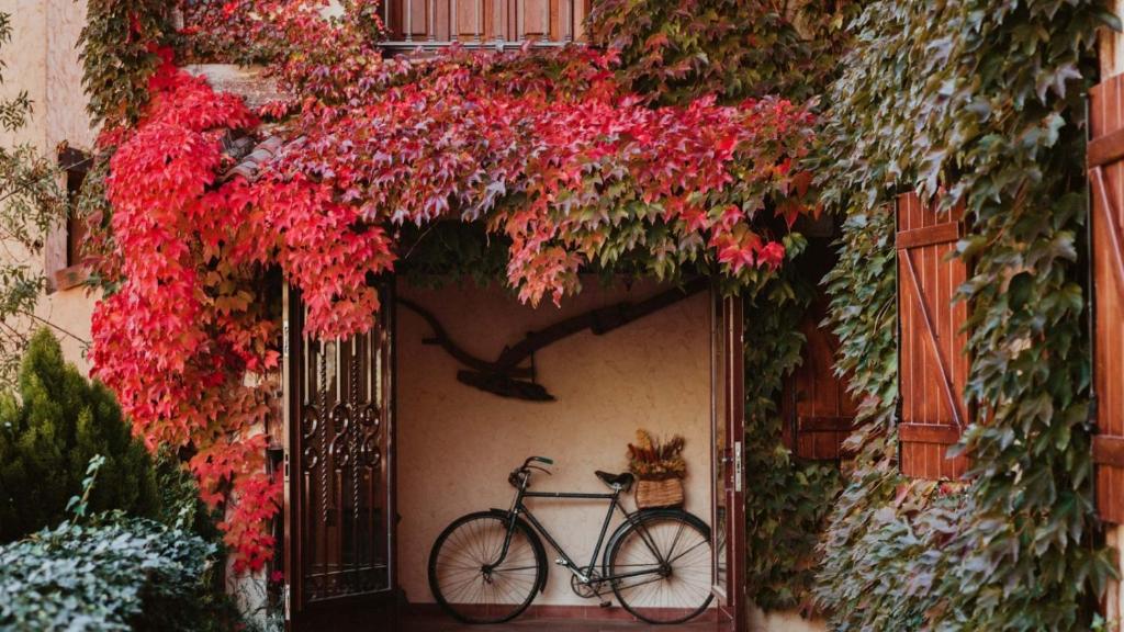 洛索亚河畔加尔甘蒂利亚瓦尔精品公寓的停在花房边的自行车