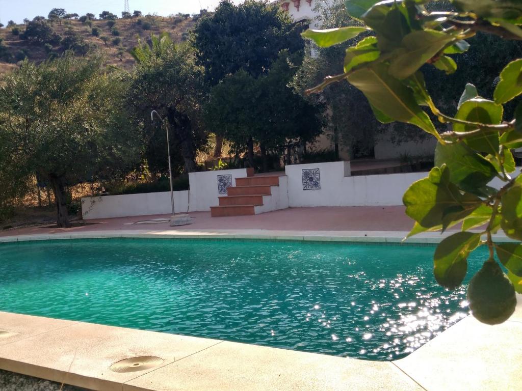 阿洛拉El olivar de Concha, Caminito del Rey的一座位于庭院的游泳池,庭院里种有树木,设有楼梯