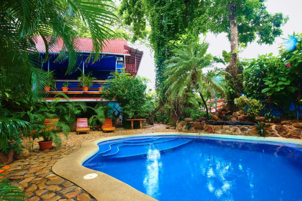 萨玛拉Tico Adventure Lodge的度假村前的游泳池