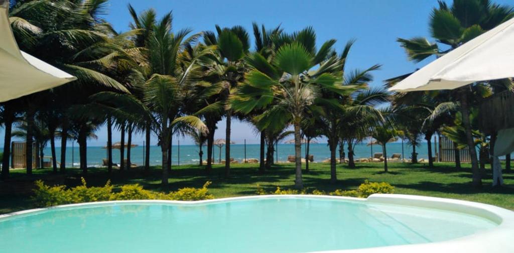 BocapánEntre Palmeras的棕榈树海滩旁的游泳池