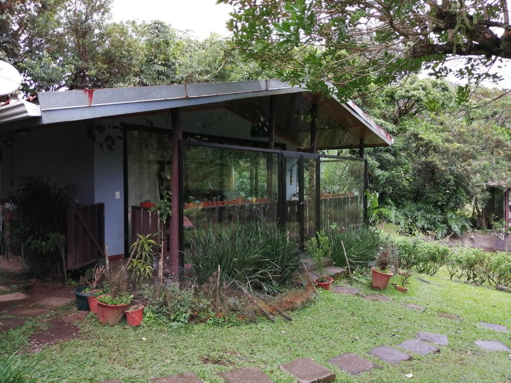 San IsidroSuite y Loft Casa Toría的院子里有盆栽的房屋