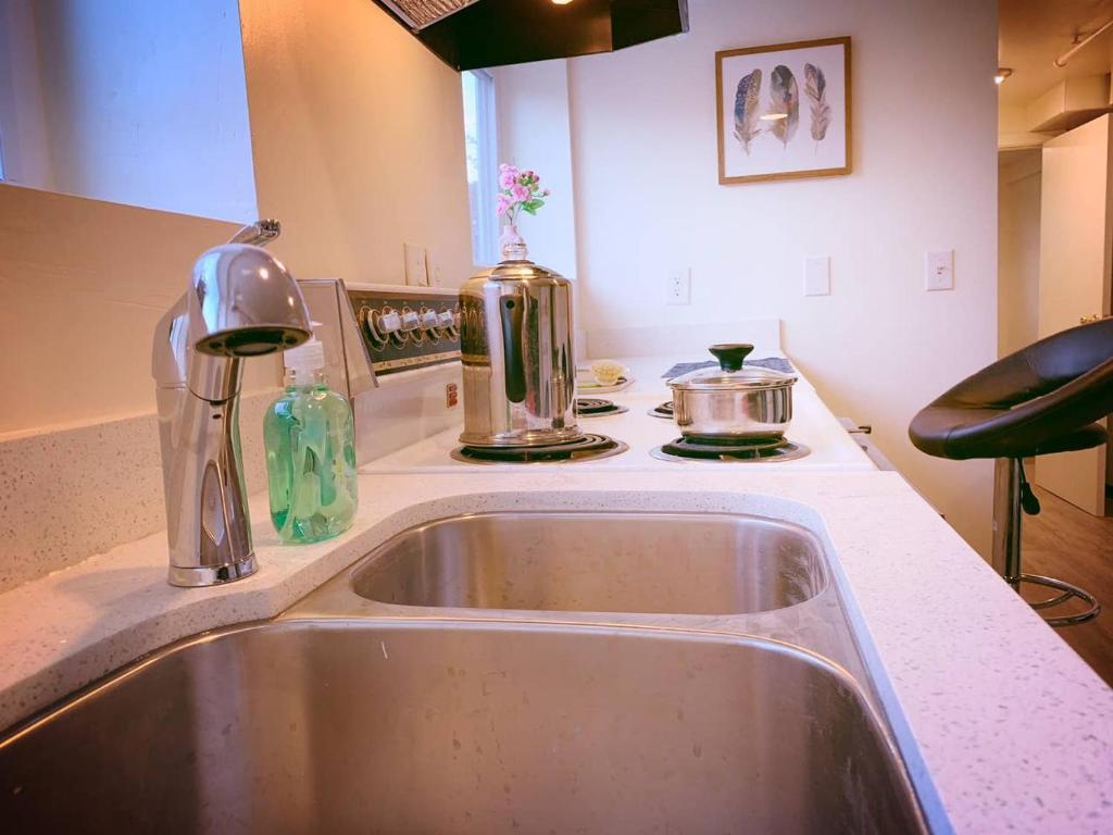 西雅图Arboretum Escape的厨房柜台设有水槽和台面